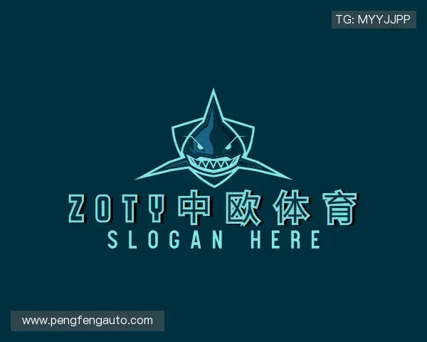 介绍zoty中欧