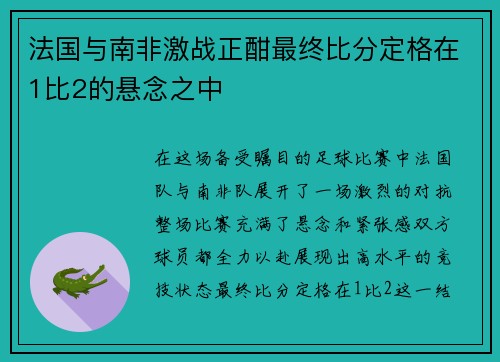 法国与南非激战正酣最终比分定格在1比2的悬念之中